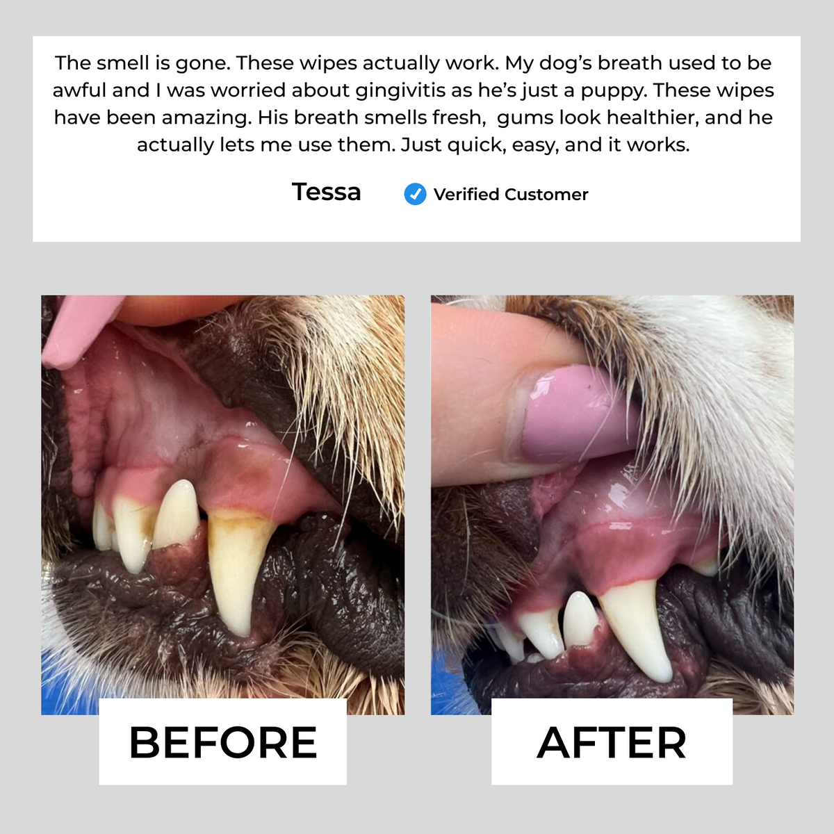 Natural Pet Dental Finger Wipes